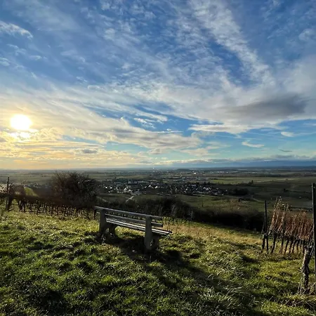 Schwarzwaldchalet De Luxe Mit Sauna By Interhome シャレー *