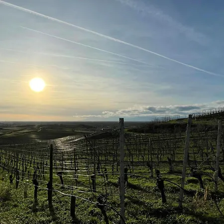 シャレー Schwarzwaldchalet De Luxe Mit Sauna By Interhome ハイタースハイム